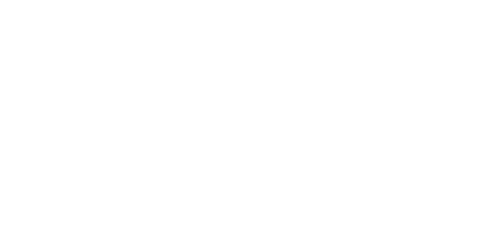 Leela Transformational game